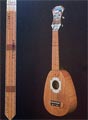 Nabuaki Date : ukulele construit à partir d'une maison