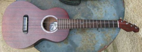 fender ukulele paina